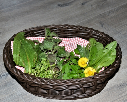 DIY_Wildkräuter